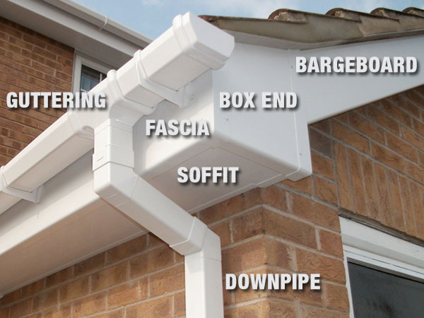 Roofline experts near me